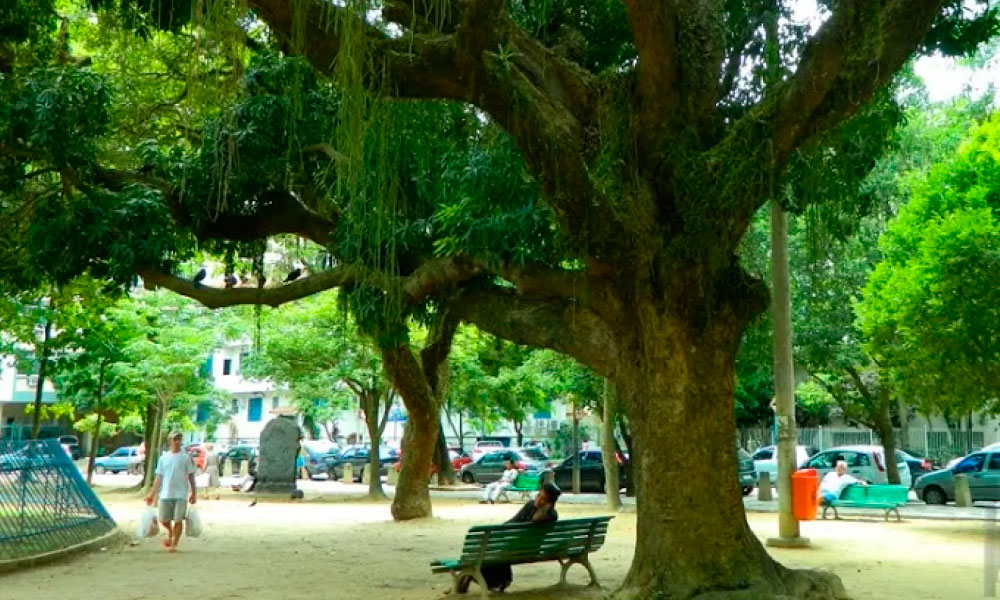 O Bairro Peixoto é a terra natal de delegado Espinosa.